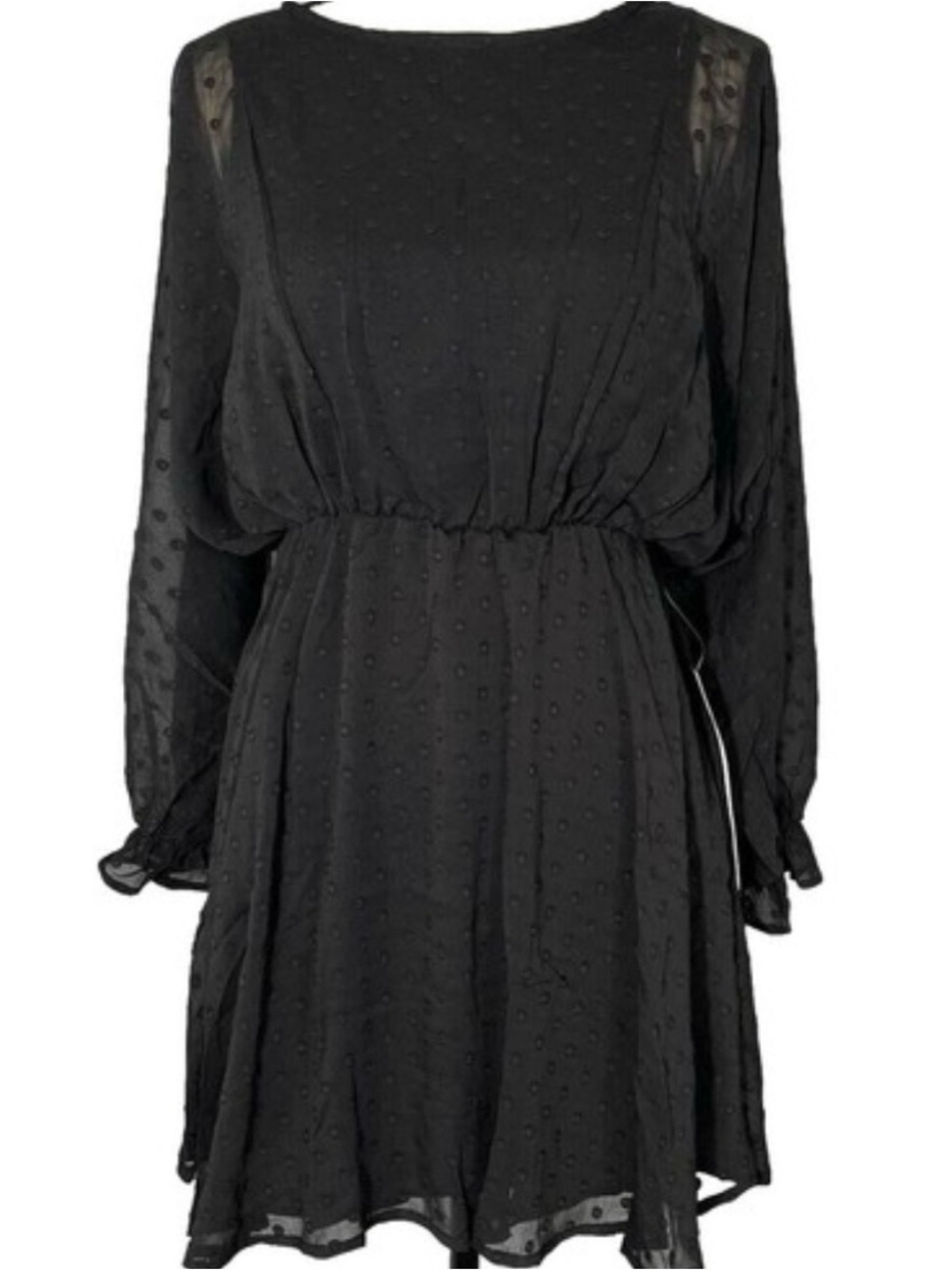Forever 21 Black Sheer Dot-Swiss Mini Dress